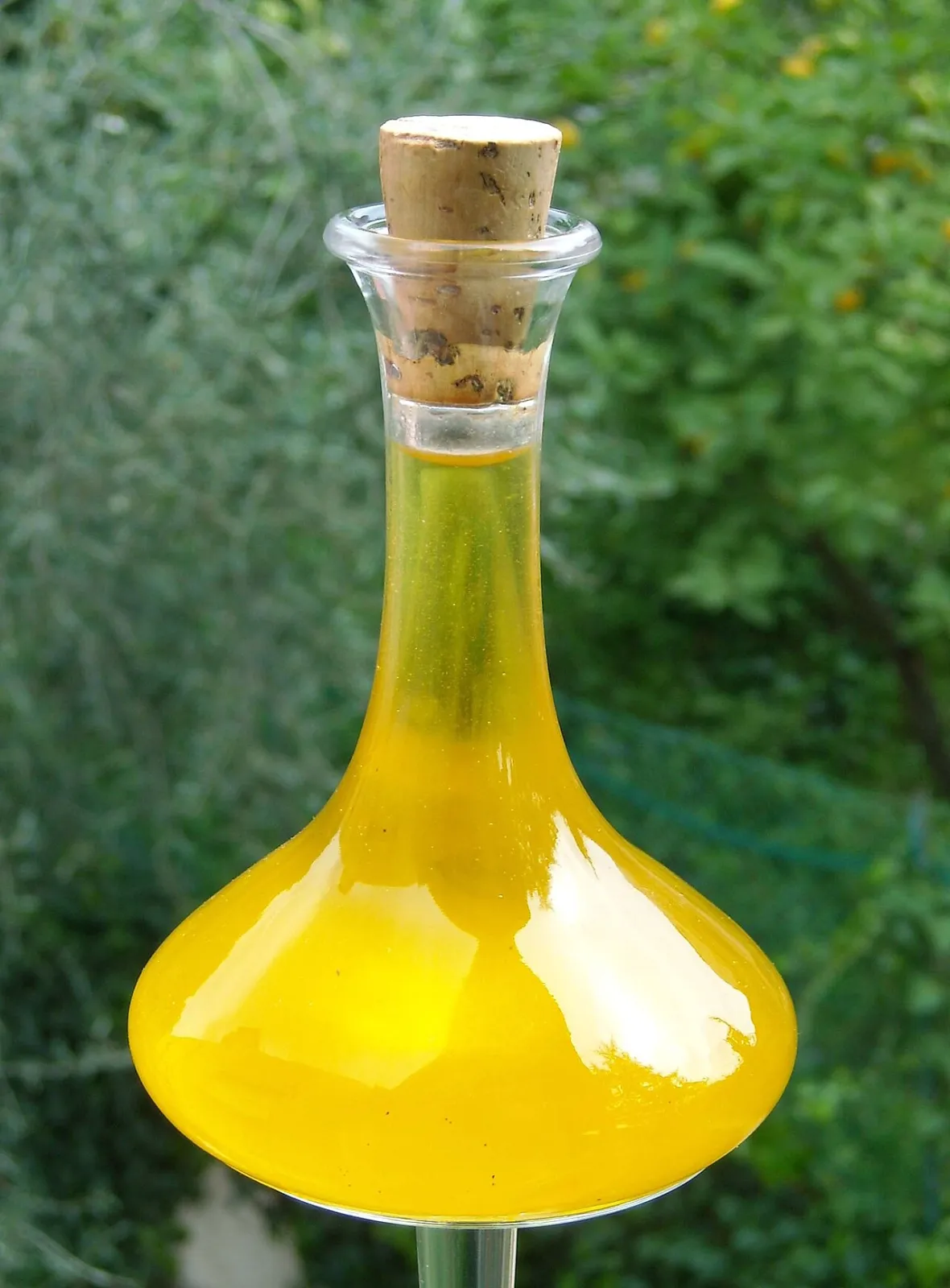 Foto 1 de 1: Aceite de oliva extra virgen, bidón de 5 litros
