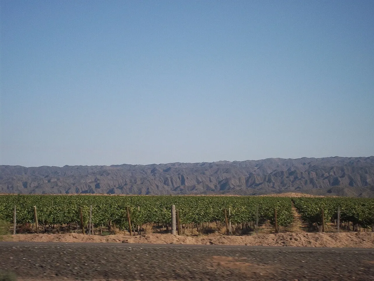 Foto 1 de 2: Finca de 10 hectáreas con viñedo en producción