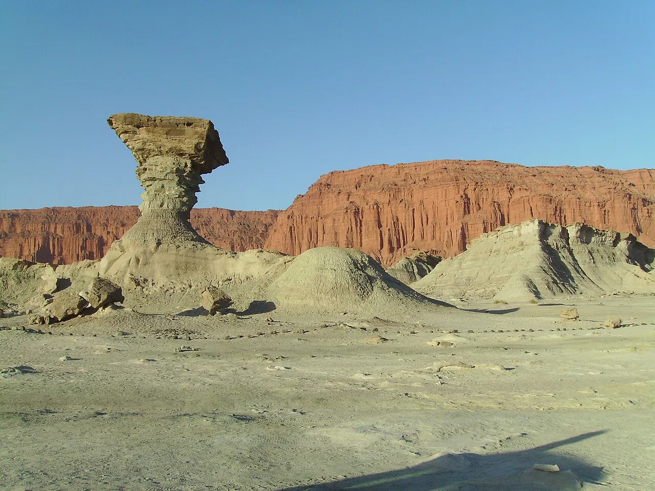 Foto 1 de 1: Excursión a Ischigualasto (Valle de la Luna) con guía