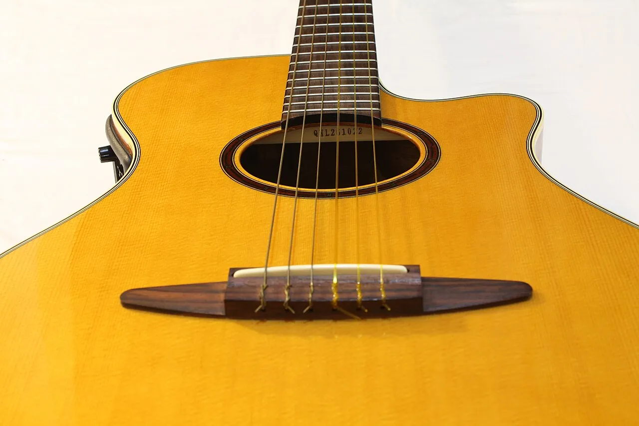 Foto 1 de 1: Guitarra criolla de estudio con funda